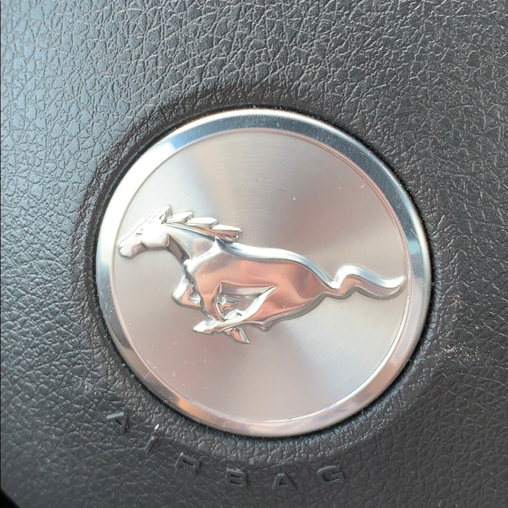 Meet your Posher, Noah